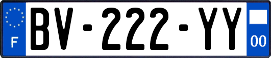 BV-222-YY