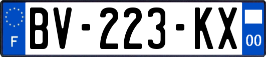 BV-223-KX