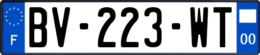 BV-223-WT