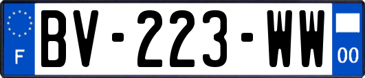 BV-223-WW