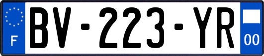 BV-223-YR