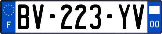 BV-223-YV