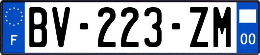 BV-223-ZM