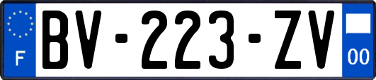 BV-223-ZV