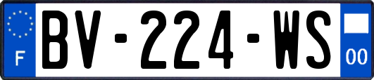 BV-224-WS