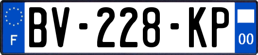 BV-228-KP
