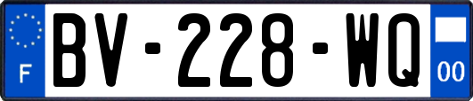 BV-228-WQ