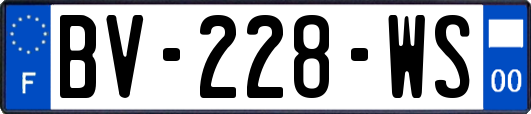 BV-228-WS