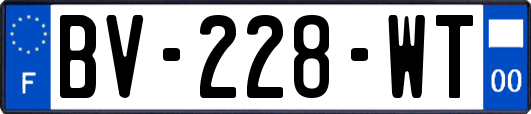 BV-228-WT