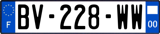 BV-228-WW