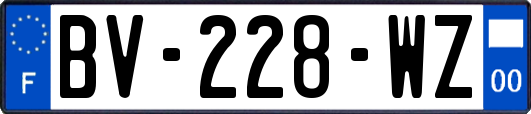 BV-228-WZ