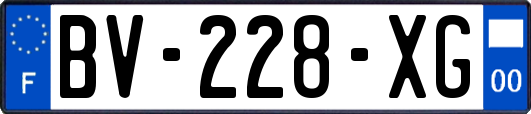 BV-228-XG