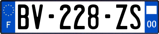 BV-228-ZS