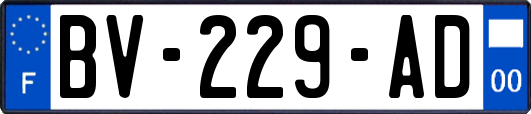 BV-229-AD