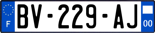 BV-229-AJ