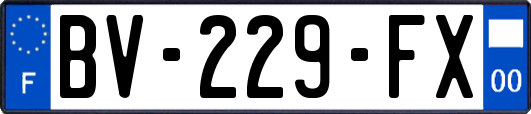 BV-229-FX