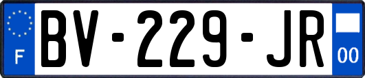 BV-229-JR
