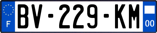 BV-229-KM