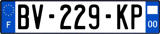 BV-229-KP