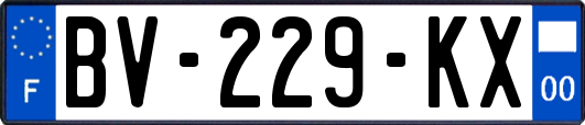 BV-229-KX