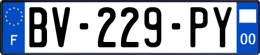 BV-229-PY