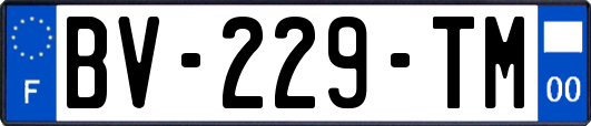 BV-229-TM