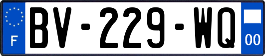 BV-229-WQ