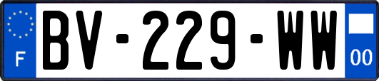 BV-229-WW