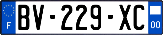 BV-229-XC
