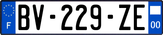 BV-229-ZE