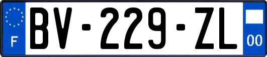 BV-229-ZL