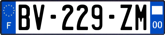 BV-229-ZM