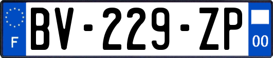 BV-229-ZP