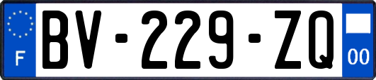 BV-229-ZQ