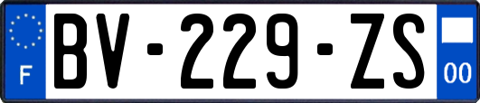 BV-229-ZS