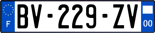 BV-229-ZV