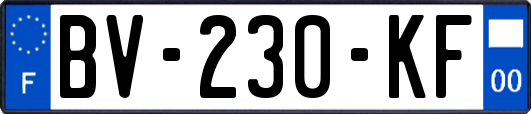 BV-230-KF
