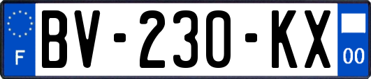 BV-230-KX