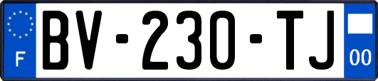 BV-230-TJ