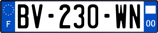 BV-230-WN