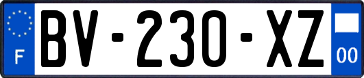 BV-230-XZ