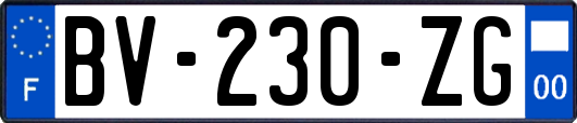 BV-230-ZG