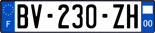 BV-230-ZH