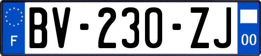 BV-230-ZJ