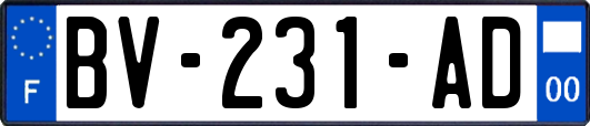 BV-231-AD