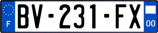 BV-231-FX