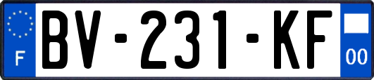 BV-231-KF
