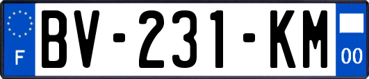 BV-231-KM