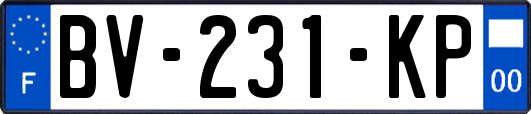 BV-231-KP