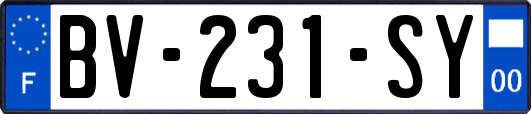 BV-231-SY